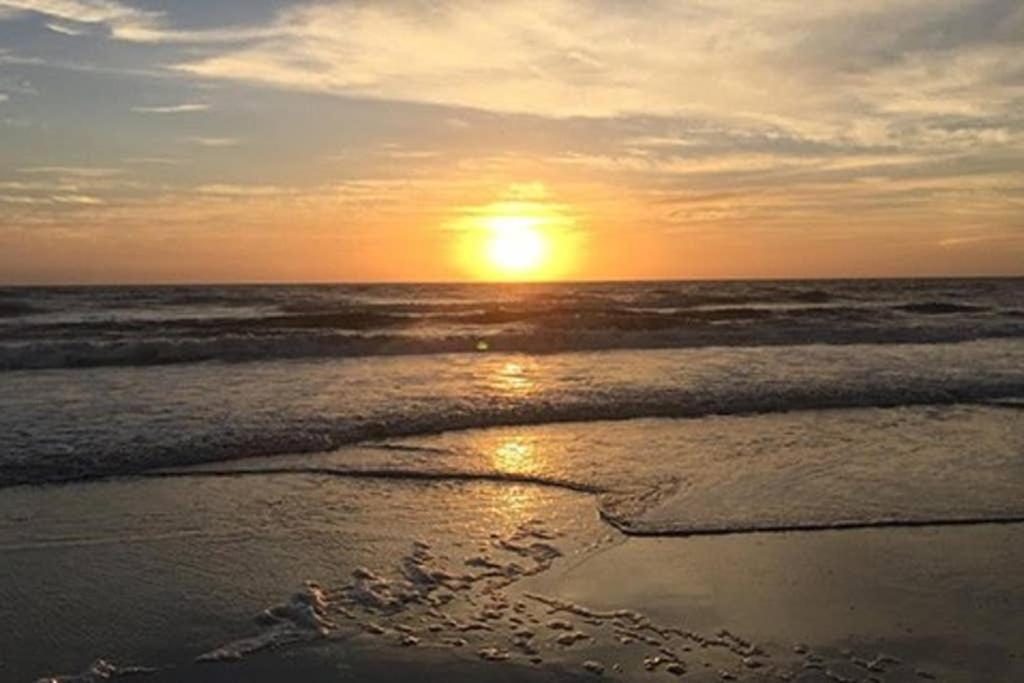 Endless Summer Cocoa Beach