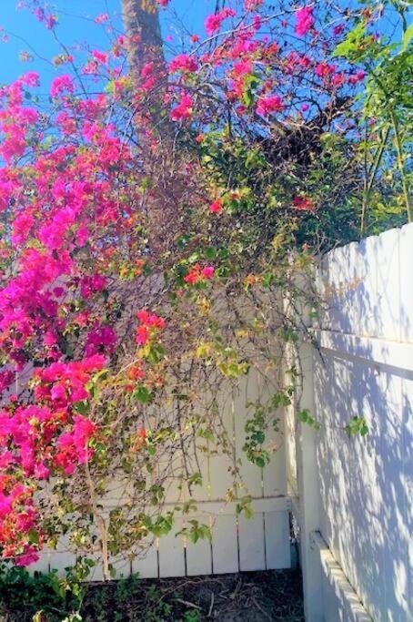 Sparkling 2bed 1bath - Unit 214 Holiday home *