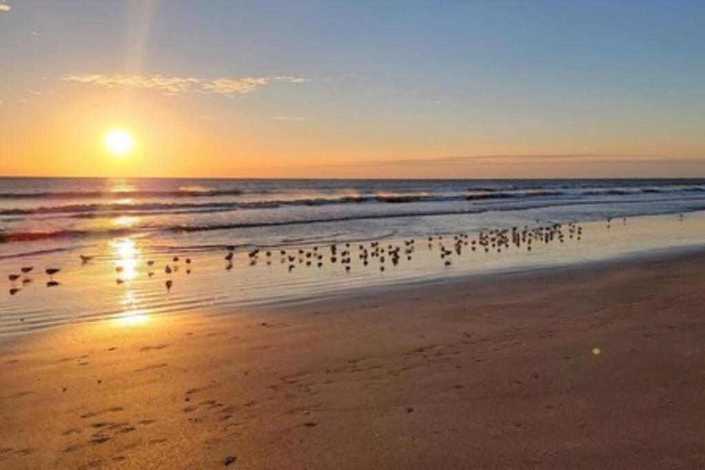 Summer Rayne Holiday home Cocoa Beach
