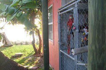 Lost Paradise Motel 2*