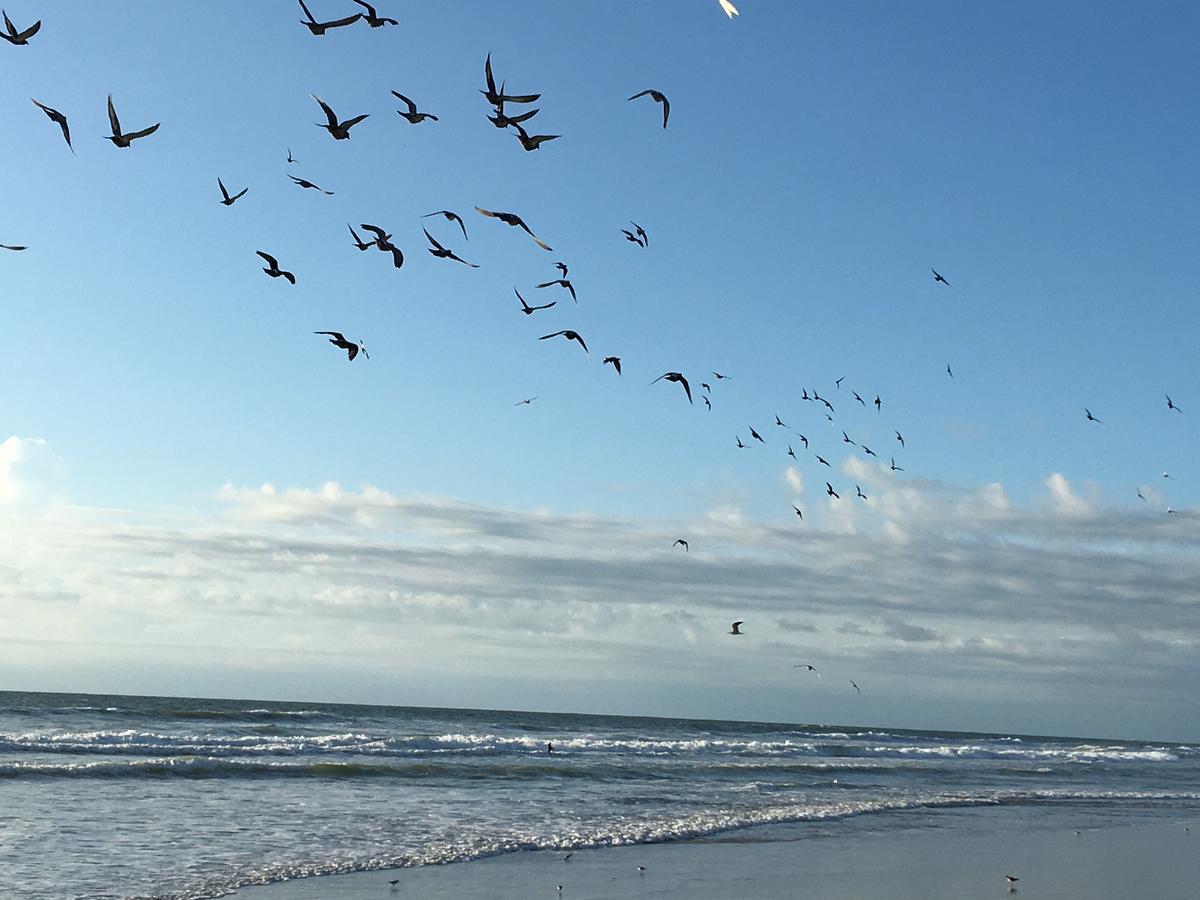 Spanish Main * Cocoa Beach