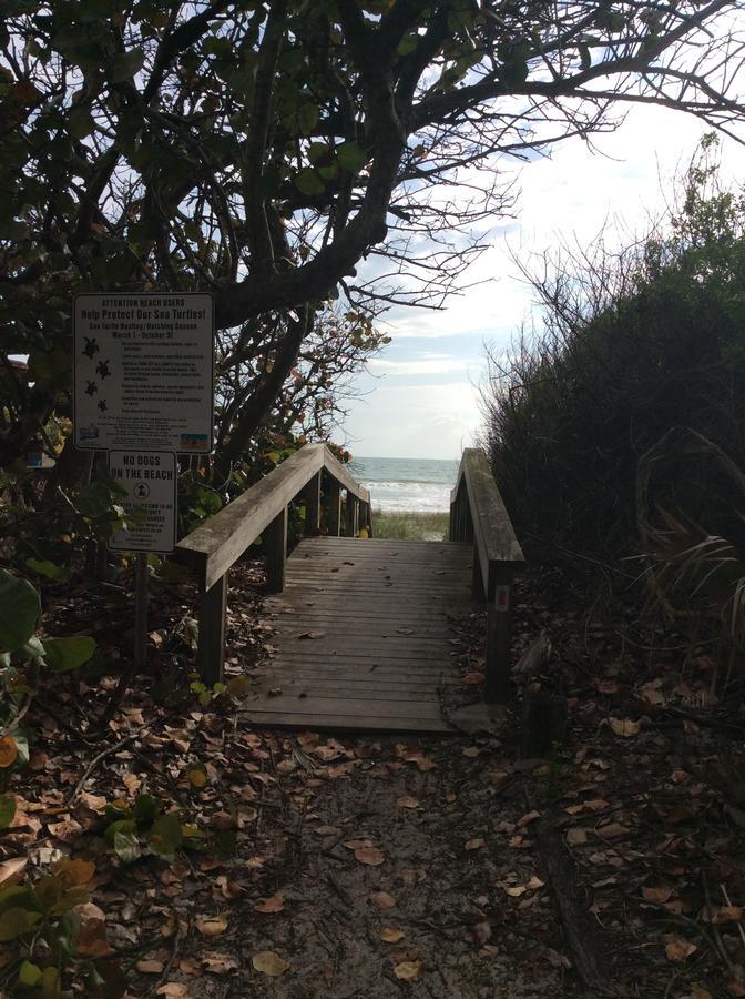 Lost Paradise Cocoa Beach