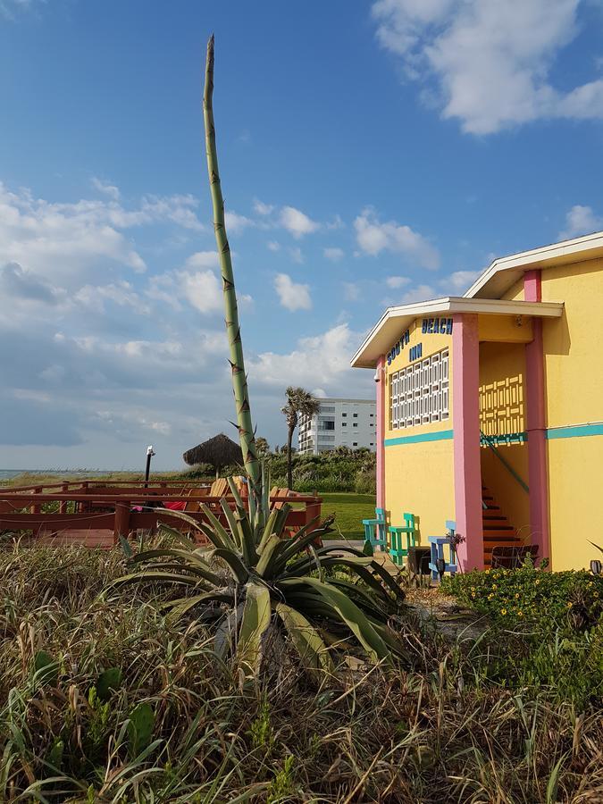 South - Cocoa 2*